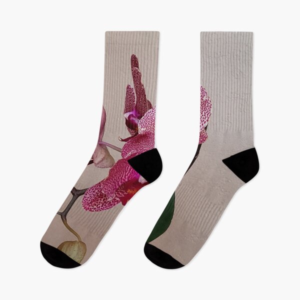 Item preview, I-Hsin Beauty Phalaenopsis Hybrid Pink Spotted White Orchid with Red Lip! designed and sold by kittenpink.
