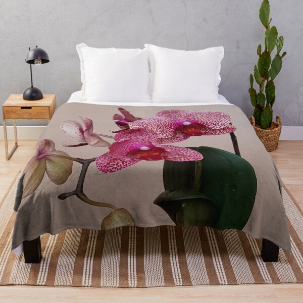 Item preview, I-Hsin Beauty Phalaenopsis Hybrid Pink Spotted White Orchid with Red Lip! designed and sold by kittenpink.
