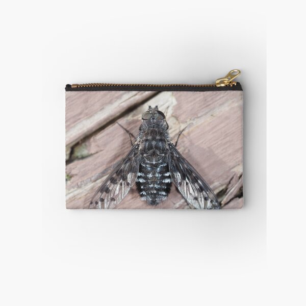 Item preview, Anthrax sp. fly close-up designed and sold by SDym Photography.