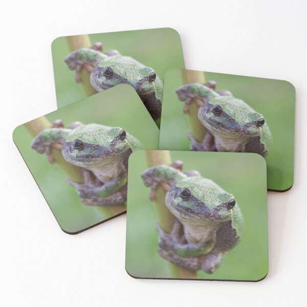 Item preview, Gray Treefrog designed and sold by Kayleigh Wilson.