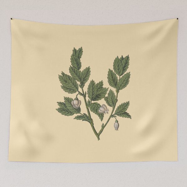 Item preview, Cute Plant Drawing No. 79 designed and sold by SukaSukaSukaTee.
