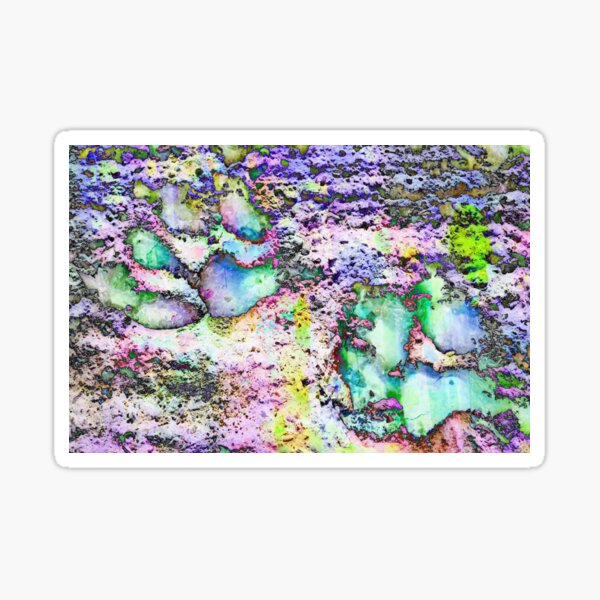 Paw Prints Vibrant Colours Sticker