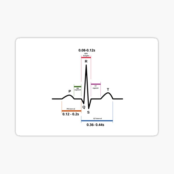 parts-of-ekg-for-nurses-with-numbers-sticker-by-pocrn-redbubble