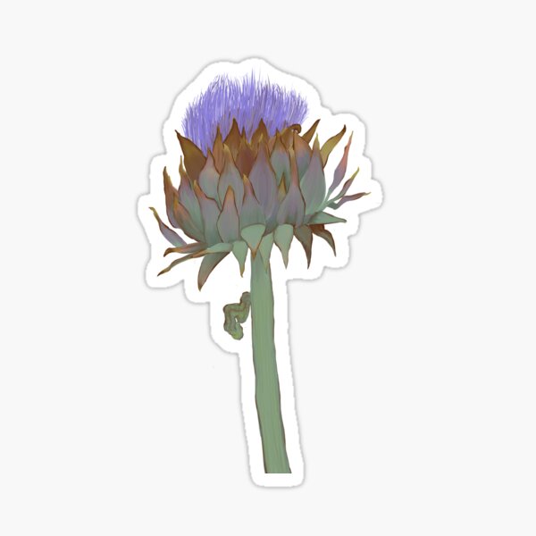 Artichoke Thistle in Bloom Sticker