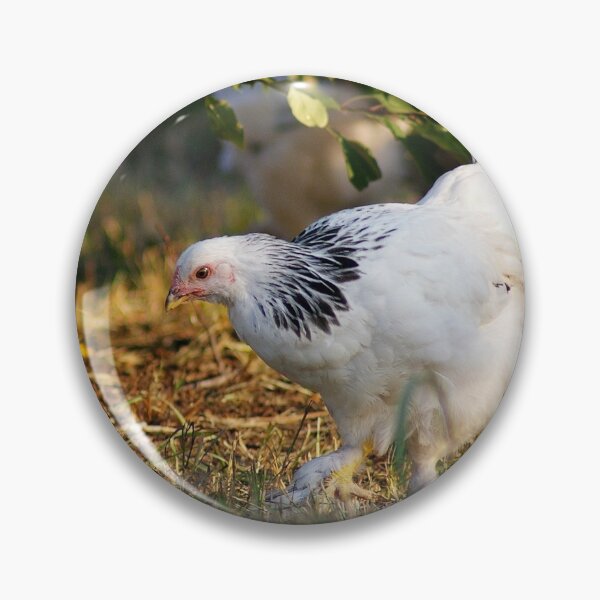 Item preview, Light Brahma designed and sold by Kayleigh Wilson.
