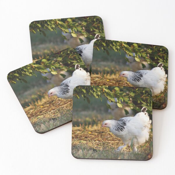 Item preview, Light Brahma designed and sold by Kayleigh Wilson.