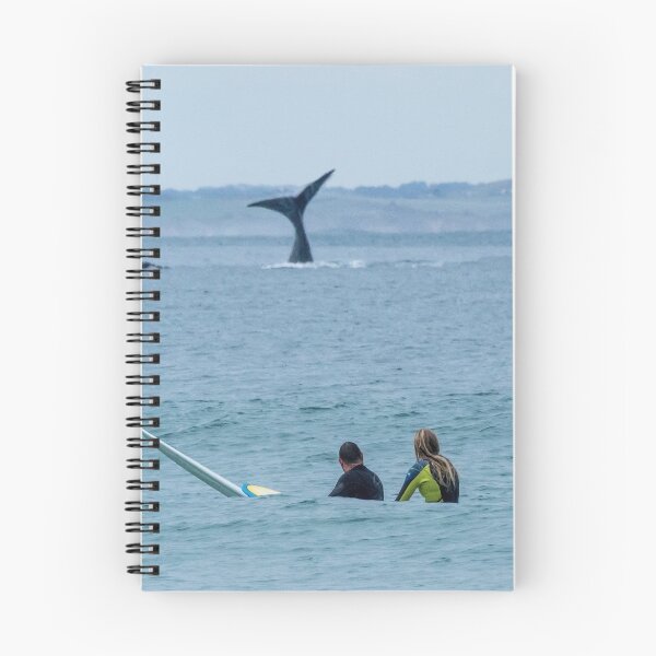 Aperçu de l'œuvre Baleine 2016 2 créée et vendue par hangingpixels.