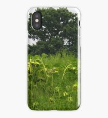 Rural landscape iPhone Case/Skin