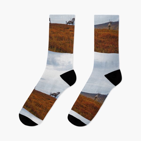 Item preview, Reindeers met in Swedish Lapland designed and sold by Alena Vishina.