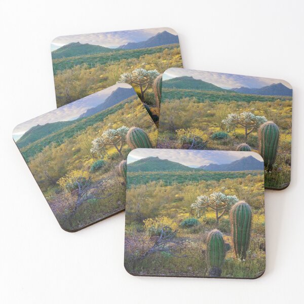 Artikelvorschau, Ajo Mountains Orgelpfeife Cactus National Monument Sonora-Wüste Arizona entworfen und verkauft von BachmaierEwald.