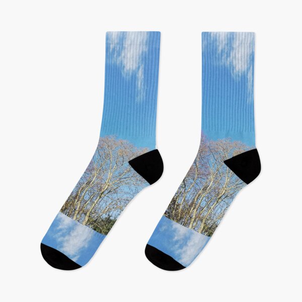 Item preview, Photo of trees and clouds designed and sold by Laura Cavanagh.