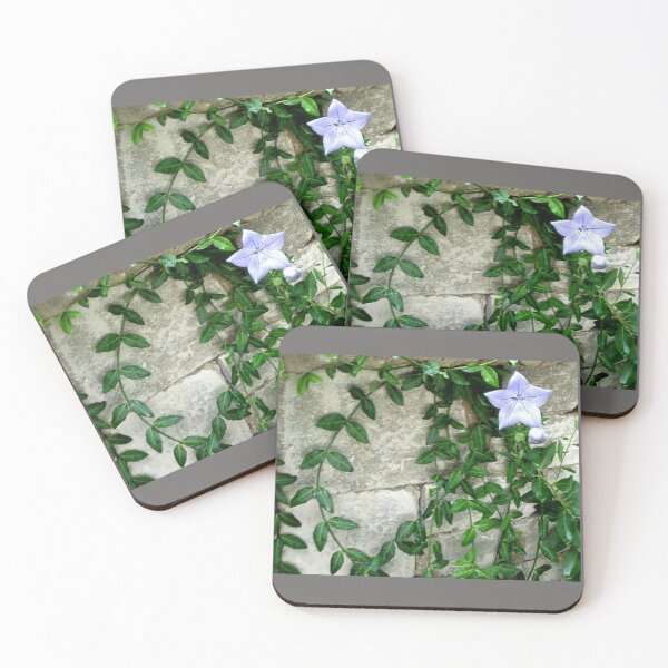 Item preview, Periwinkle is a funny word designed and sold by VioletVends.