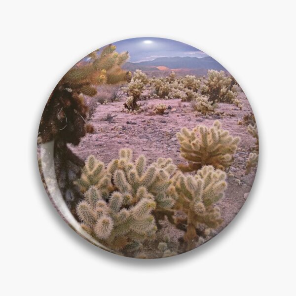 Item preview, Teddy Bear Cholla Cacti Joshua Tree National Park California designed and sold by SusanDavies76.