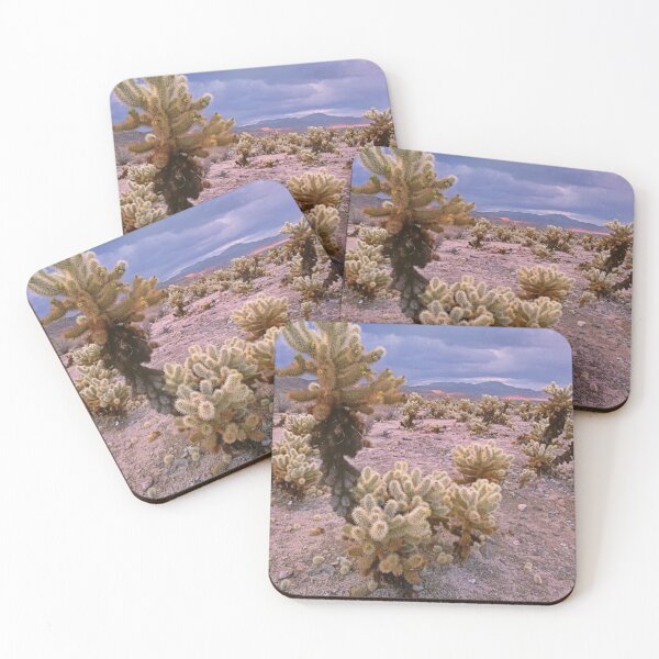 Item preview, Teddy Bear Cholla Cacti Joshua Tree National Park California designed and sold by SusanDavies76.