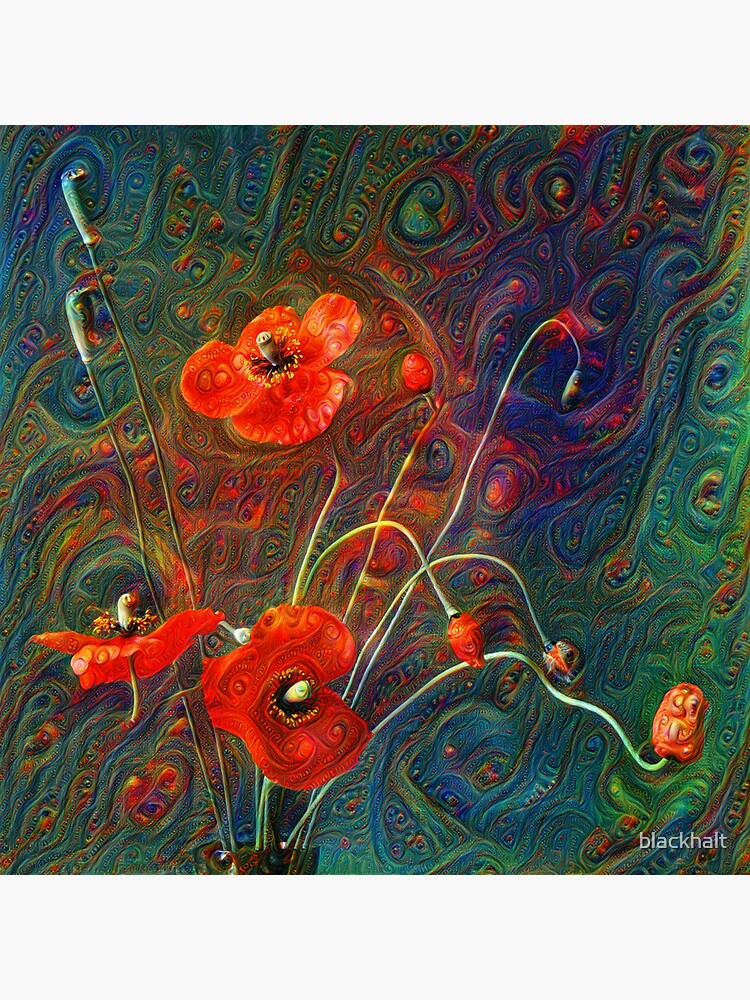 Poppies by blackhalt