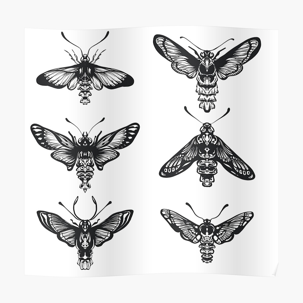 Hand Drawn Butterfly Tattoo Dotwork Tattoo Hemileuca Griffini Griffins  Sheepmoth or Canadian Fleabane Moth Stock Vector  Illustration of  mystical style 130024654