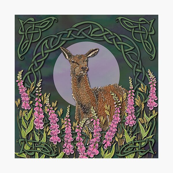 Celtic Deer Photographic Print