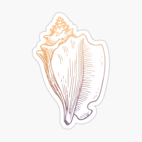 Conch Sticker
