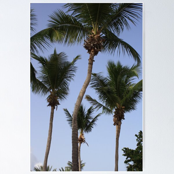 Item preview, Four Palm Trees designed and sold by JaclynBell.