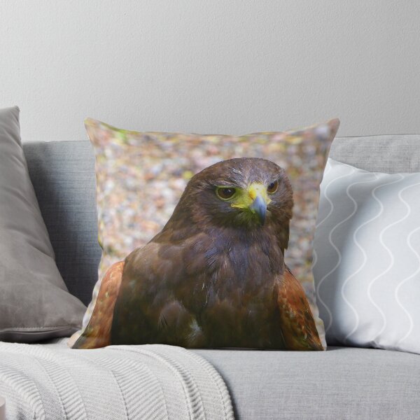 Item preview, Harris hawk designed and sold by irenicrhonda.