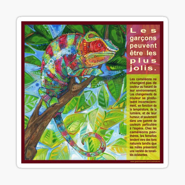 Sur la Passerelle (Le Caméléon Panthère) Sticker