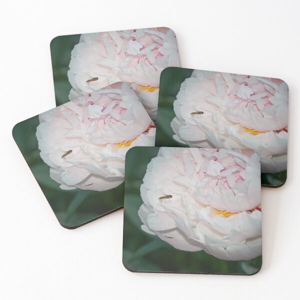 Item preview, Hoverfly's heaven. Herbaceous peony designed and sold by Jouko Lehto Photography.