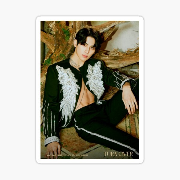 TAEYANG SF9 Turn over Sticker