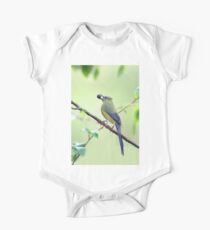 Long-tailed Silky-Flycatcher - Costa Rica One Piece - Short Sleeve