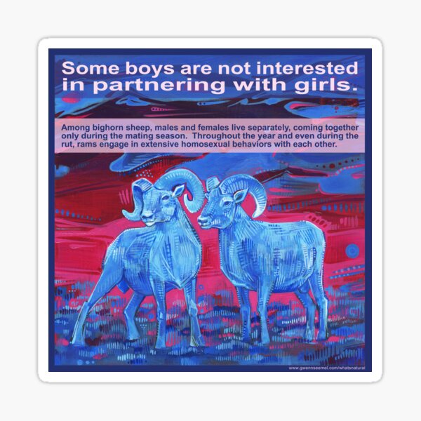 Ram Tough (Bighorn Sheep) Sticker