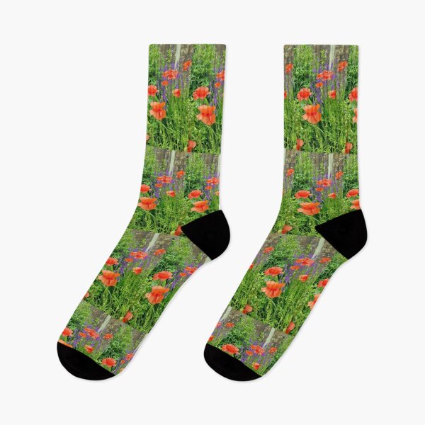Item preview, Amapolas en el Dean's Park York, Inglaterra designed and sold by PicsByTony.