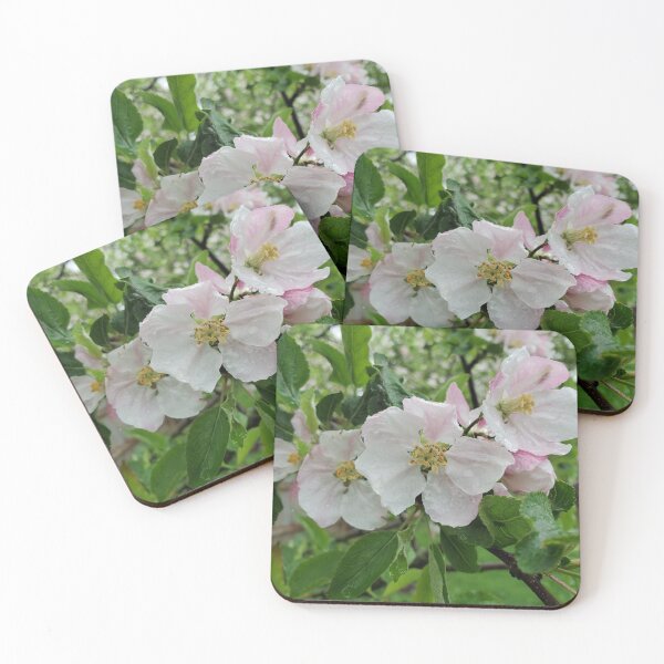 Item preview, Apple  blossoms  designed and sold by TracieNorthcutt.