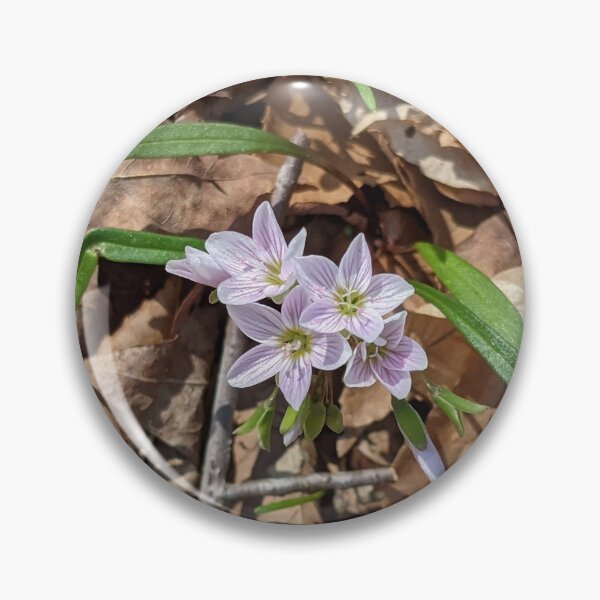 Item preview, Spring Flowers designed and sold by memorguson.