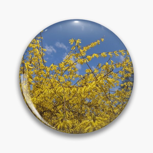 Item preview, Forsythia blooming designed and sold by memorguson.
