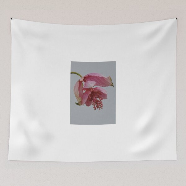 Item preview, Medinilla flower designed and sold by ana dawani.