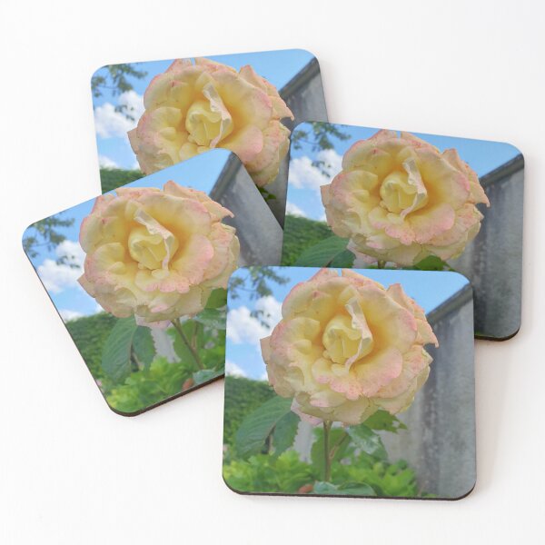 Item preview, Summer Rose  designed and sold by Megan-Alice.