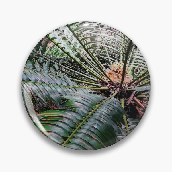 Item preview, Cycad  designed and sold by Weather gifts .