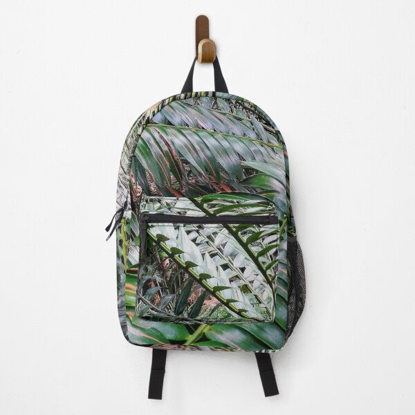 Item preview, Cycad designed and sold by Weather gifts .