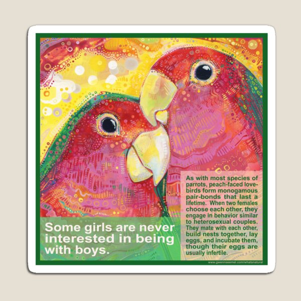 Polly Want a Polly (Peach-faced Lovebird) Magnet