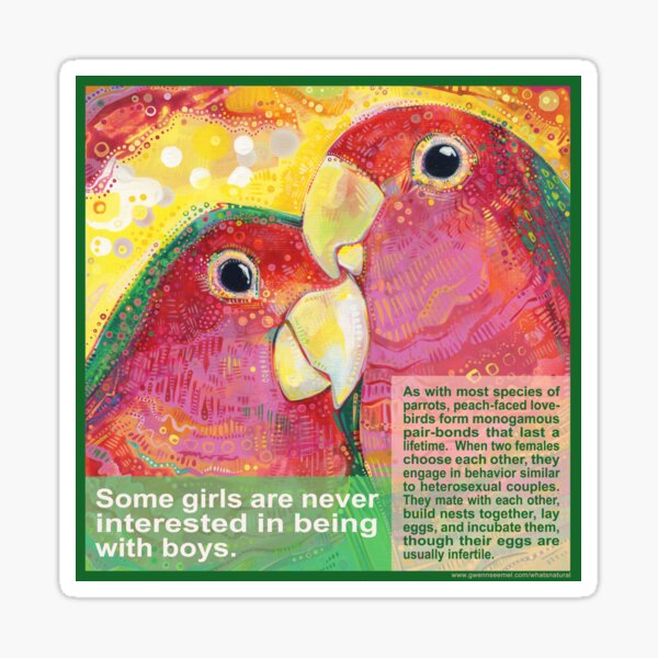 Polly Want a Polly (Peach-faced Lovebird) Sticker