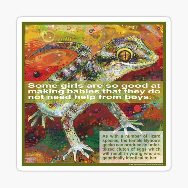 Self-replicating (Bynoe's Gecko) Sticker