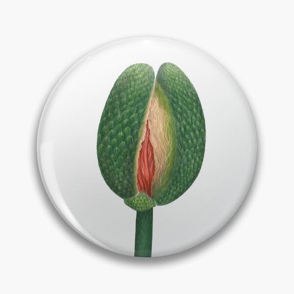 Item preview, poppy flower botany designed and sold by lex-sky.