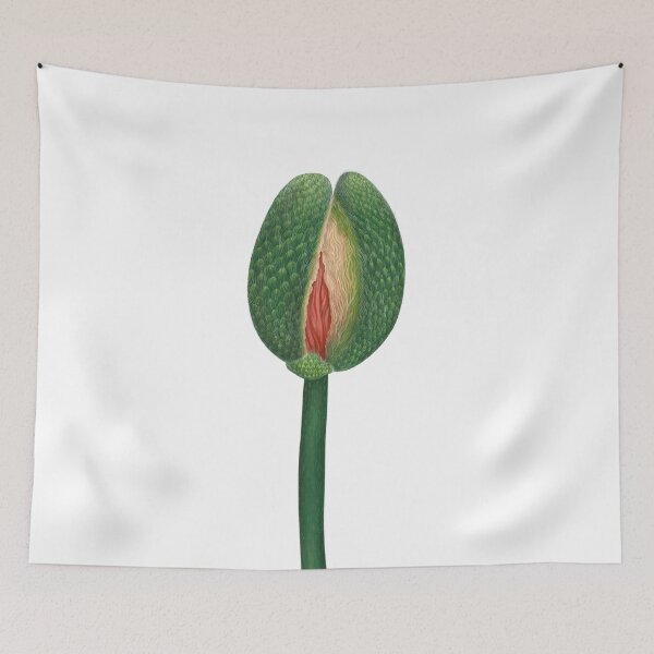 Item preview, poppy flower botany designed and sold by lex-sky.