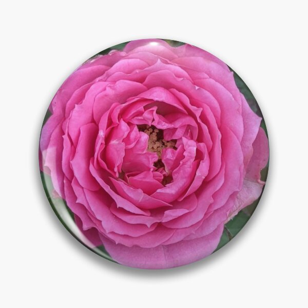 Item preview, Pink mini rose designed and sold by memorguson.