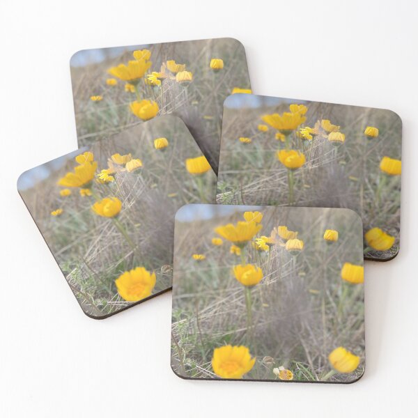 Item preview, Texas Yellow Daisy  designed and sold by MDBROWN12.
