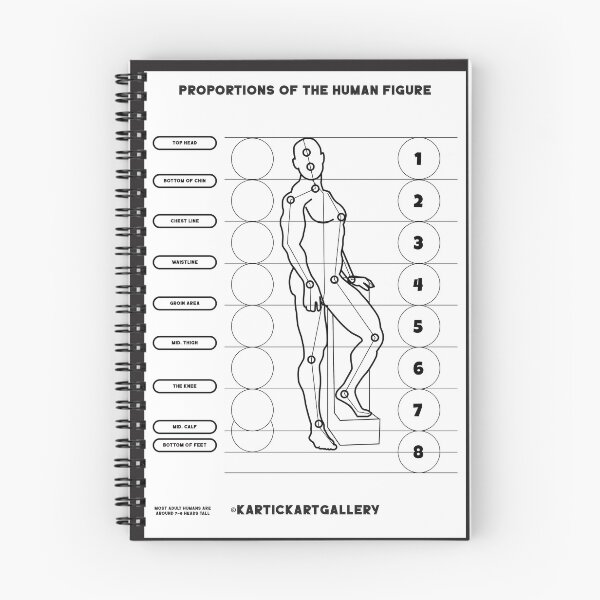 Item preview, Proportions Of The Human Figure Poster  designed and sold by KARTICK DUTTA.