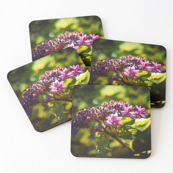 Item preview, Where Fairies Play designed and sold by Melanie Uadjit.