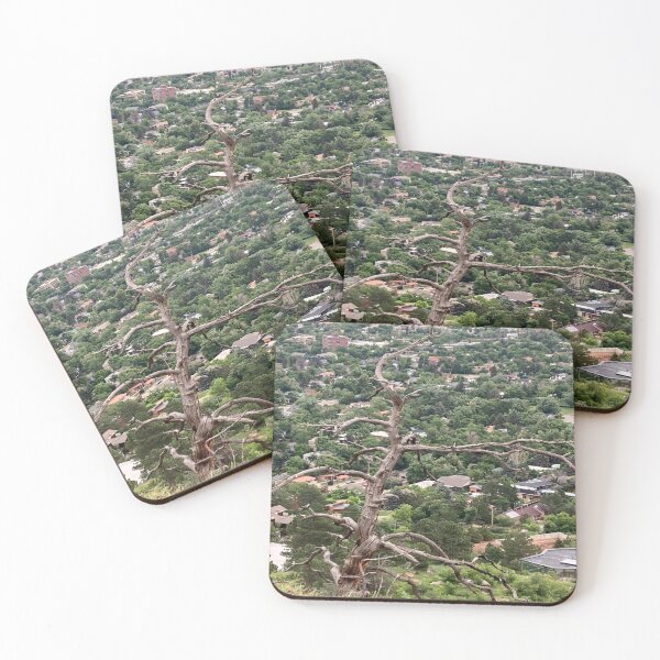 Item preview, Dead tree overlooking Boulder Colorado designed and sold by Rose-of-Sharon.