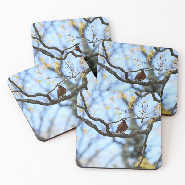 Item preview, American Robin designed and sold by Daniela-Aqua.