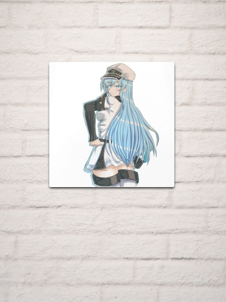 Akame Ga Kill Esdeath' Poster, picture, metal print, paint by