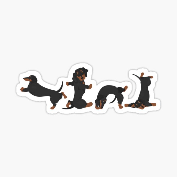 "Dachshund yoga poses" Sticker for Sale by Expressions Redbubble